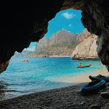 Palmeras Moraira *